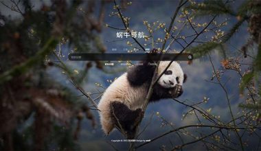 简约大气全屏背景壁纸蜗牛导航网站模板 - 花火博客